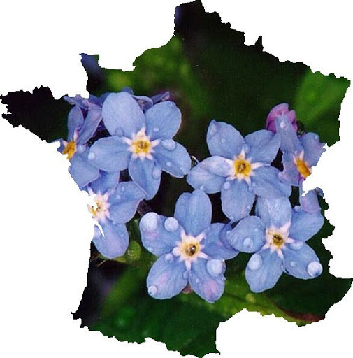 France en fleurs1